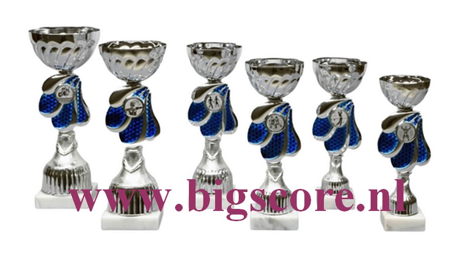 Z 634 Beker Blauw-Zilver 6 Delig